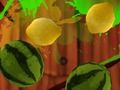 Spel Fruitpauze online