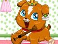 Spel Pet Roulette online
