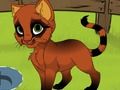 Spel Mijn kitten  online