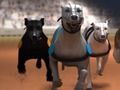 Spel Greyhound Racing online