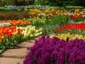 Spel Bloemtuin 2 online Spel Bloemtuin 2 online