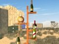 Spel Fles schieten  online