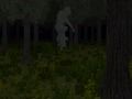 Spel Gekooid bos online