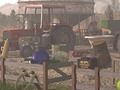 Spel Hog boerderij  online