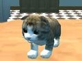 Spel Kat Simulator: Kitty Craft!  online