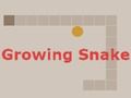 Spel Groeiende slang  online