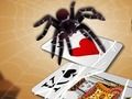 Spel Springende spin online