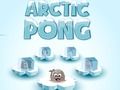Spel Arctische pong online