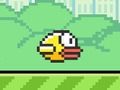 Spel Spiervogel online