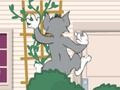 Spel Tom und Jerry: Wasserbomben Wahhnsinn online