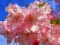 Spel Jigsaw Puzzle: bloemen  online