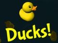Spel Eenden!  online