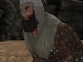 Spel Vikingen  online