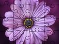 Spel Jigsaw Puzzle zomer  online