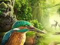 Spel Onbekend eiland  online