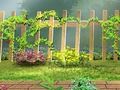 Spel Gardengeheimen verborgen letters online