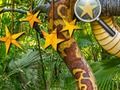 Spel Jungle verborgen sterren online