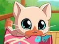 Spel Mijn pocket huisdieren kitty kat online