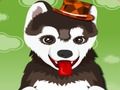 Spel Een schattige hond wassen  online