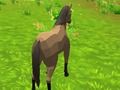 Spel Paardensimulator 3D  online