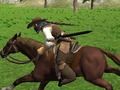 Spel Paardrijden Simulator  online