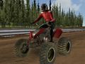 Spel Quad-motorraces  online