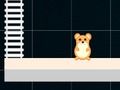 Spel Slimme hamster: even en oneven  online