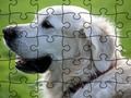 Spel Legpuzzel gedomesticeerde dieren  online