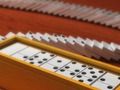 Spel Domino-multiplayer  online