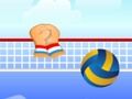 Spel Volleybal online