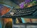 Spel Koud goud  online