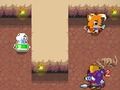Spel Rogge staart online