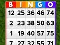 Spel Bingo online Spel Bingo online