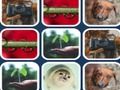 Spel Geheugenprobleem  online