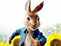 Spel Peter Rabbit: Problemen in het doolhof  online