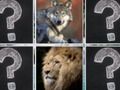 Spel Geheugen match jungle dieren online