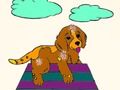 Spel Huisdieren Kleurboek online Spel Huisdieren Kleurboek online