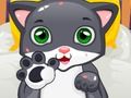 Spel Kleine kattenarts online