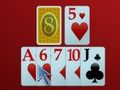 Spel Mau Mau online