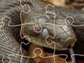 Spel Mysterieuze slangen: puzzel  online