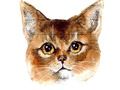 Spel Abyssinian Puzzle Challenge online