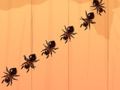 Spel Ant Smash online