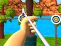 Spel Meester boogschieten schieten  online