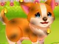Spel Grappig Rescue Pet  online