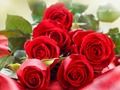 Spel Rode rozen  online