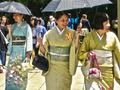 Spel 100 vlinders in Japan  online