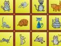Spel Katten Findiff  online