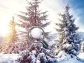 Spel Zoek sneeuwballen  online