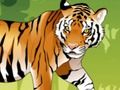 Spel Angry Tiger kleuren  online