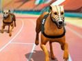 Spel Crazy Dog Racing Fever  online